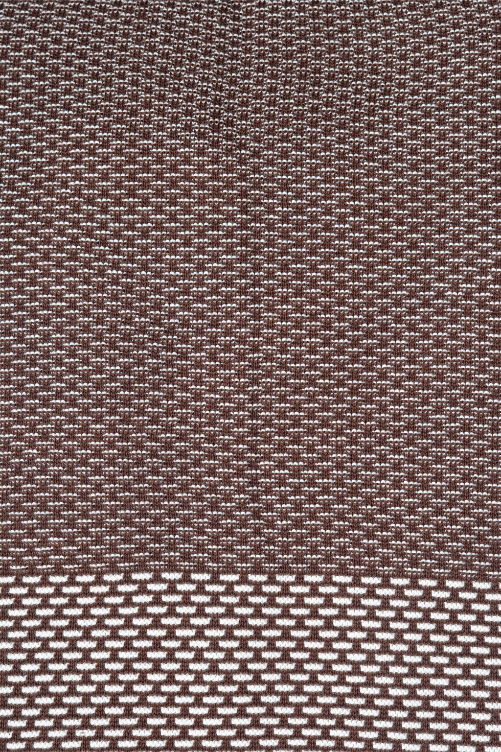 SALLT Brown Knitted Polo Cotton Shirt - Regular Fit