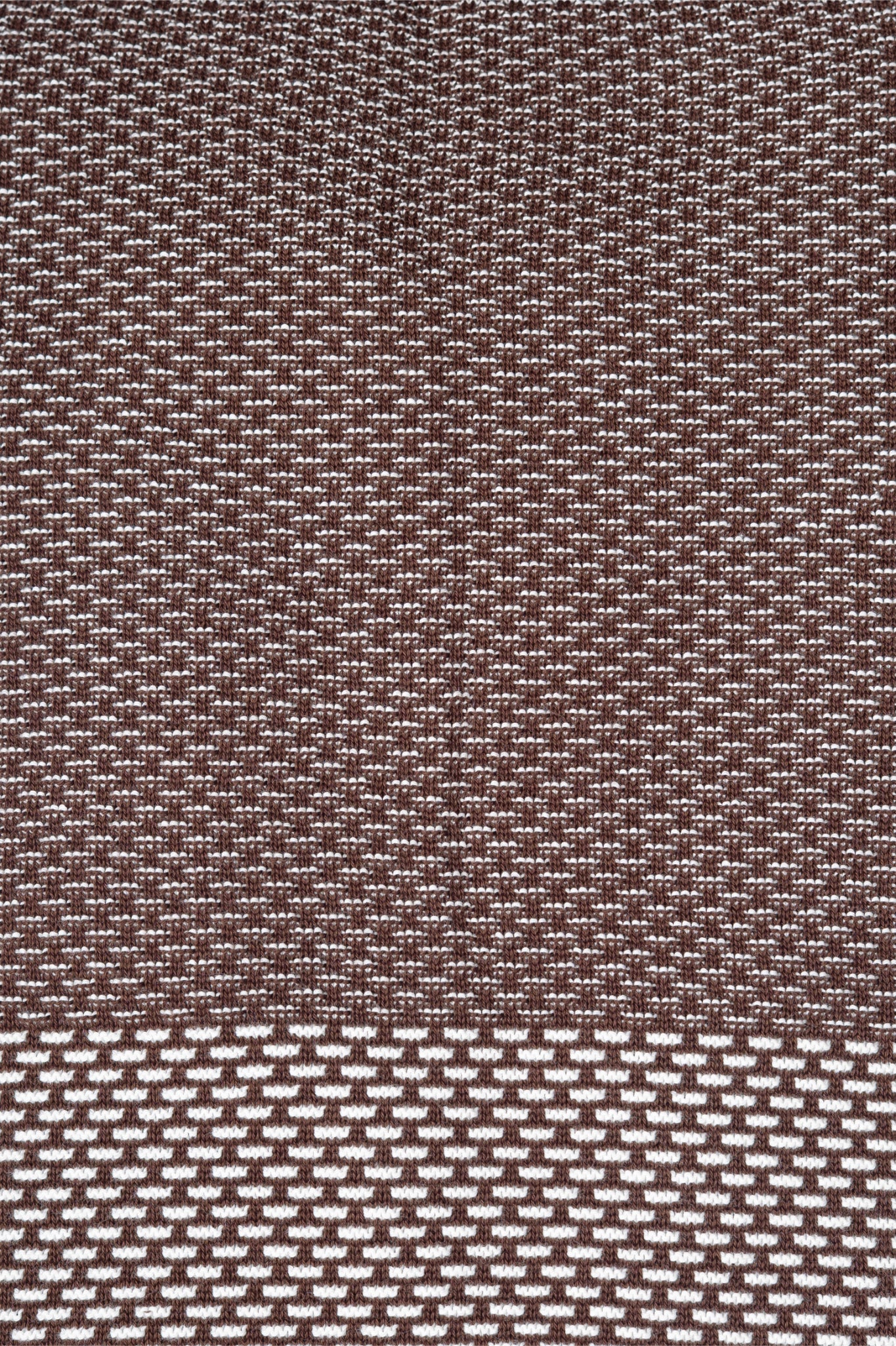 SALLT Brown Knitted Polo Cotton Shirt - Regular Fit